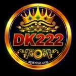 DK222 Game