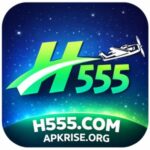 H555 Game