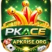 PKACE GAME