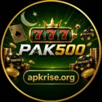 PAK500 Game