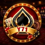 Y71 Game